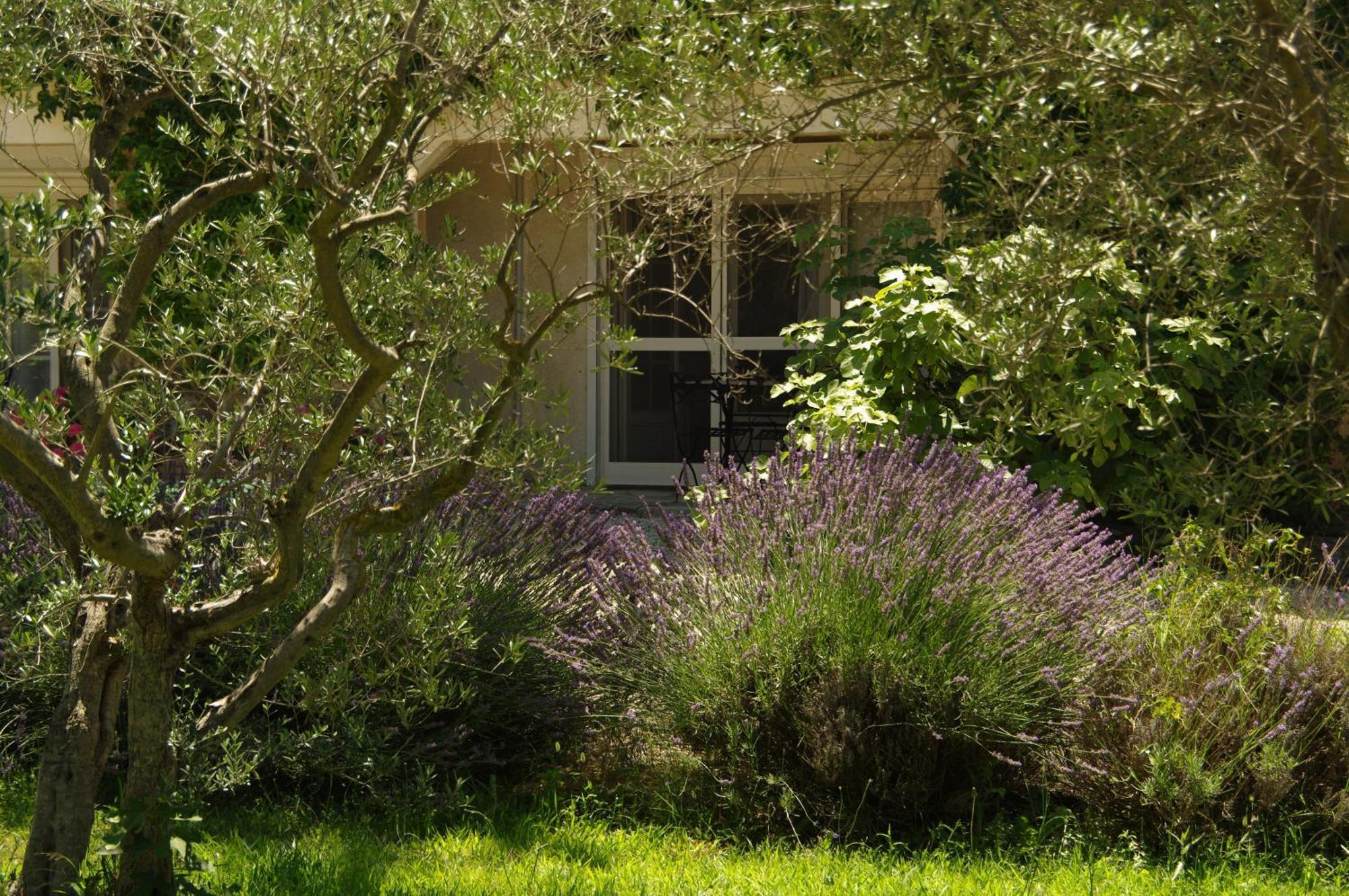 Residence Le Saint Victor Fontvieille Bagian luar foto