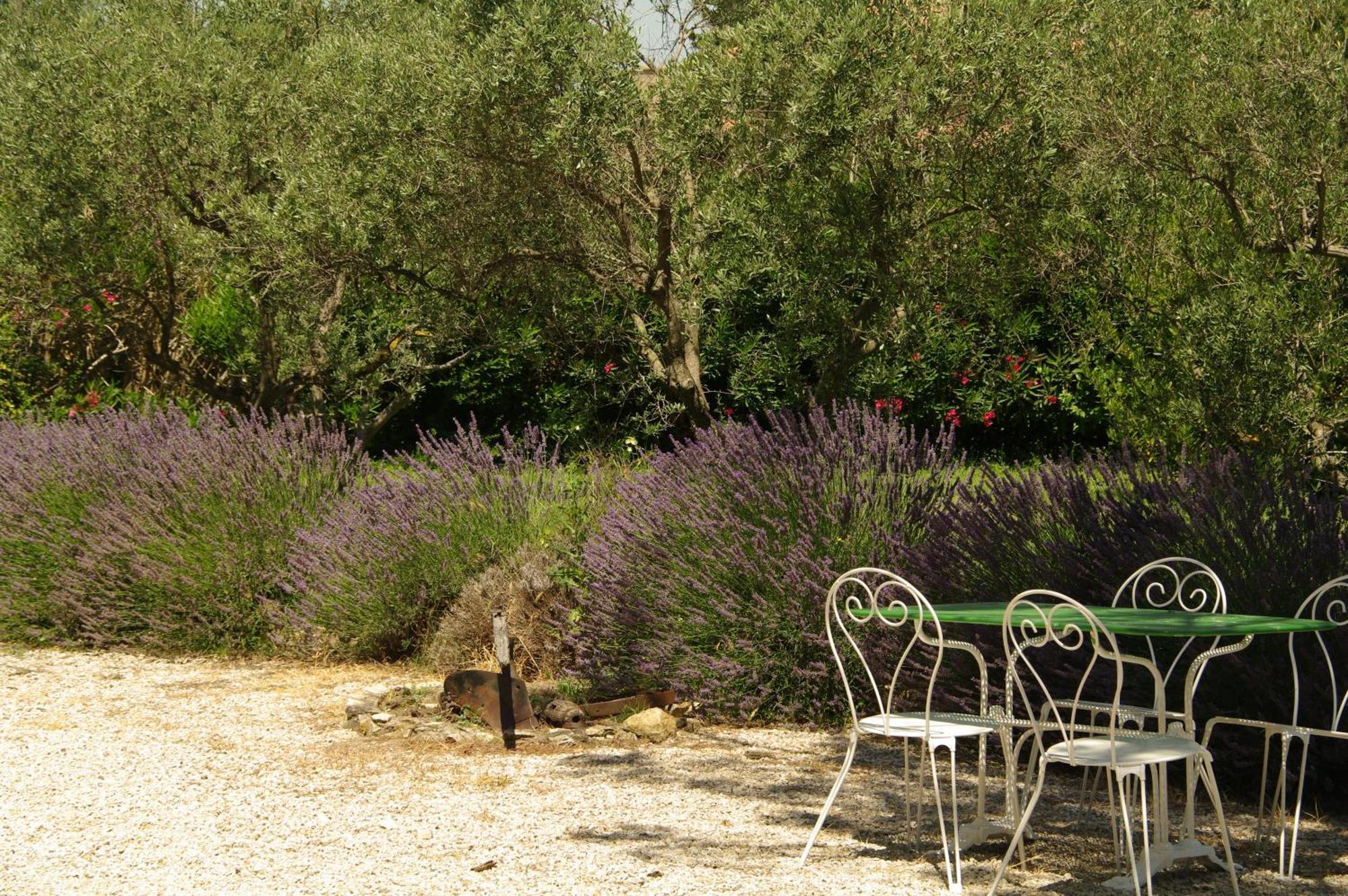 Residence Le Saint Victor Fontvieille Bagian luar foto